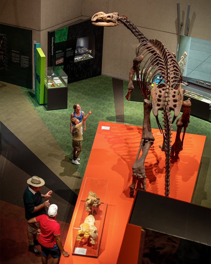 people looking at fossils in the queensland museum