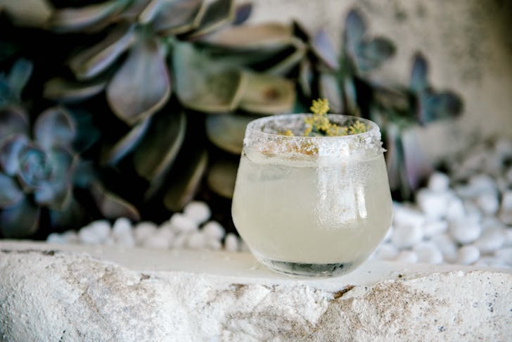 a margarita cocktail