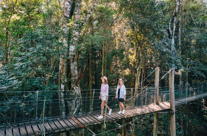 gold coast bush walk