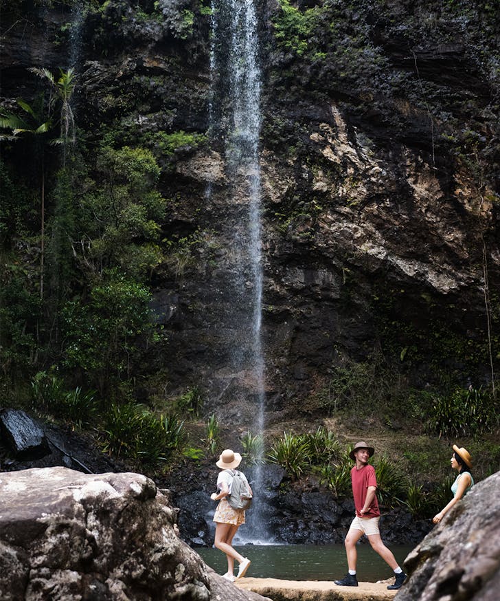 twin falls