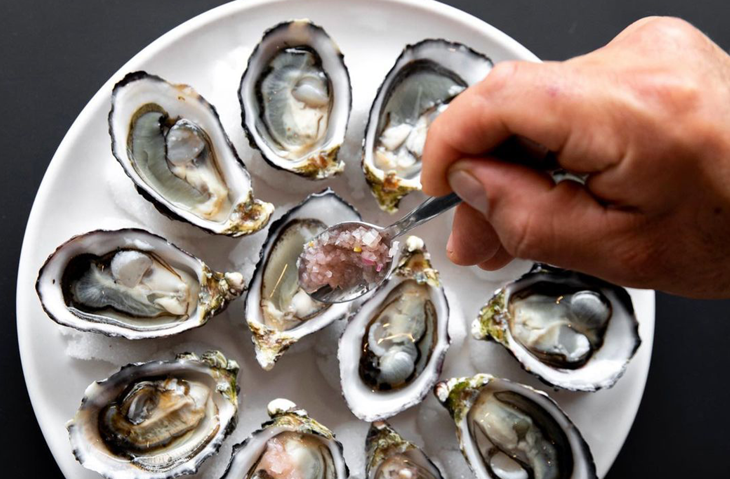 a plate full of oysters