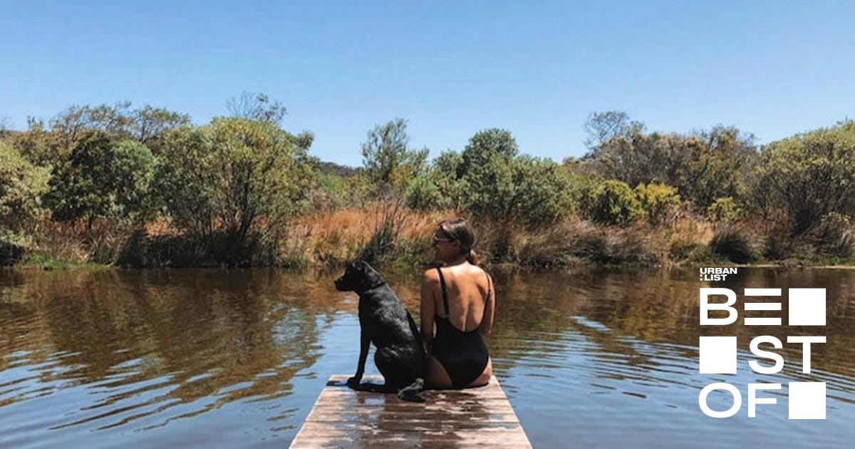 13 Of The Gold Coast's Best DogFriendly Camping Spots URBAN LIST
