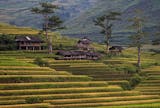 G Adventures Click Frenzy Traveld eals
