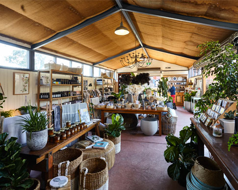 Planter  Garden of Eden Greenhouse  Gifts  Blumenort