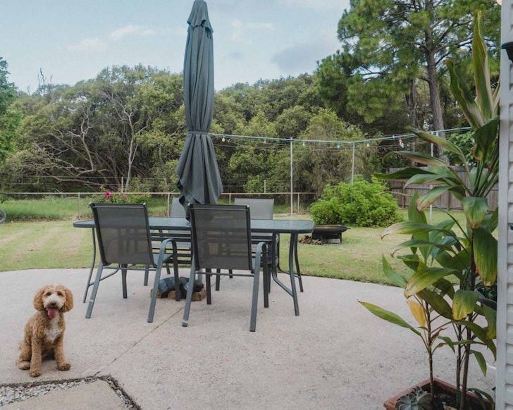 A dog sits in the garden of Gasworks Creek Cottage pet-friendly Airbnb Brisbane