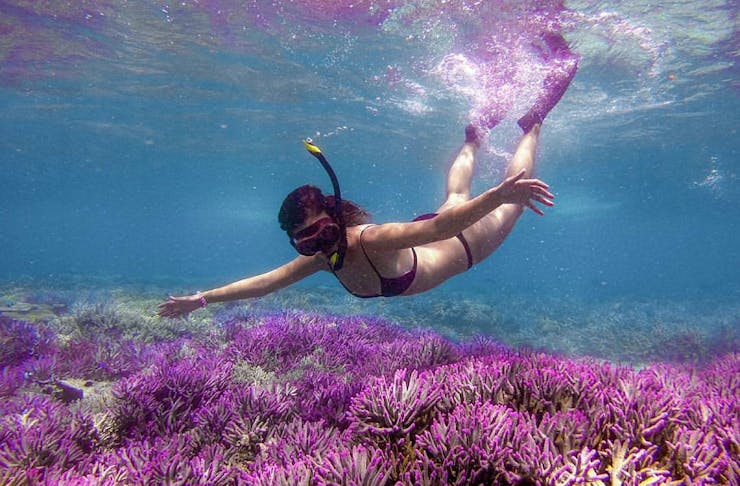 Girl snorkels over stunning purple coral.