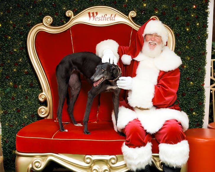 santa westfield coomera