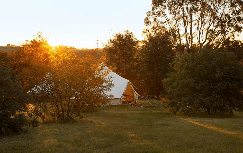 best glamping victoria