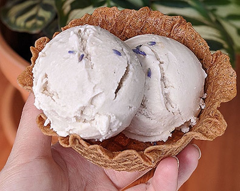 Good Habit Ice Cream URBAN LIST NEW ZEALAND