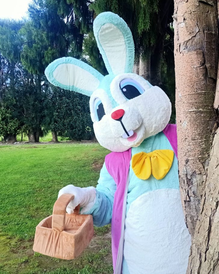 Good Planet's Easter Bunny 