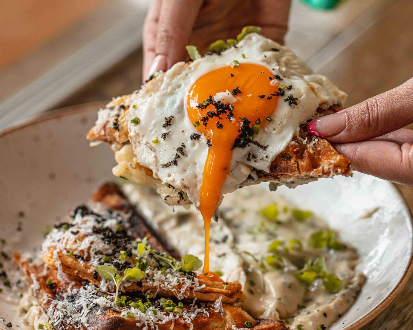 Hands holding toast with fried egg and truffle