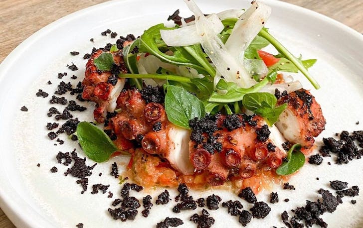 Gordon Street Garage dumplings