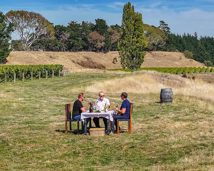 Graham Norton picnics in a vineyard with the Invivo co-founders. 