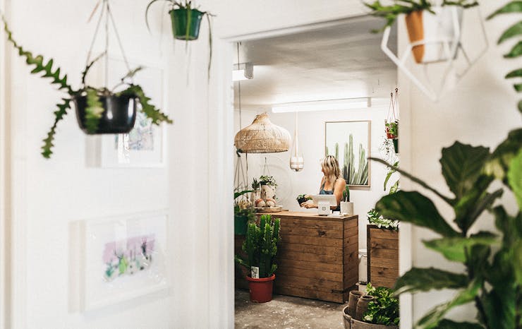 Say Hello To Green Folk Burleigh’s Adorbs New Indoor Plant Store