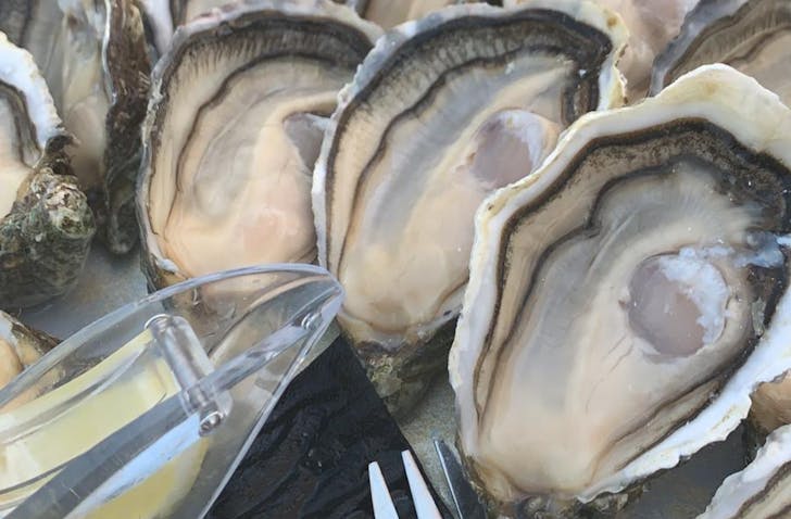 Sea Bass and Oysters Fresh from the markets