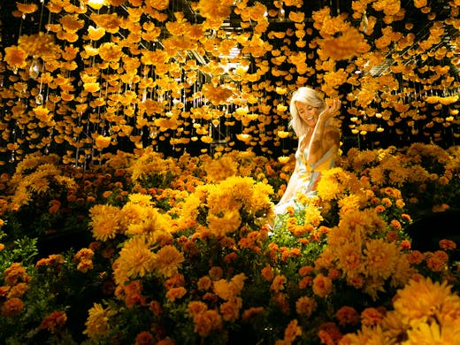 HAPPY PLACE, LA's Immersive Exhibition Is Returning To ...