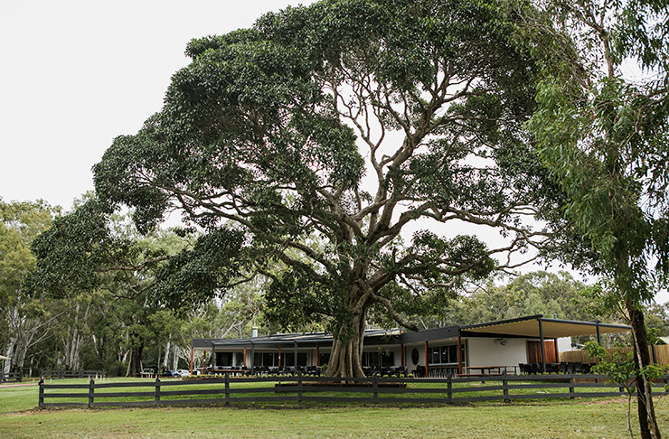 Habitat Noosa