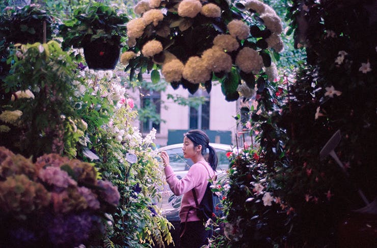 Here’s Where To Find The Best Markets In Hamilton