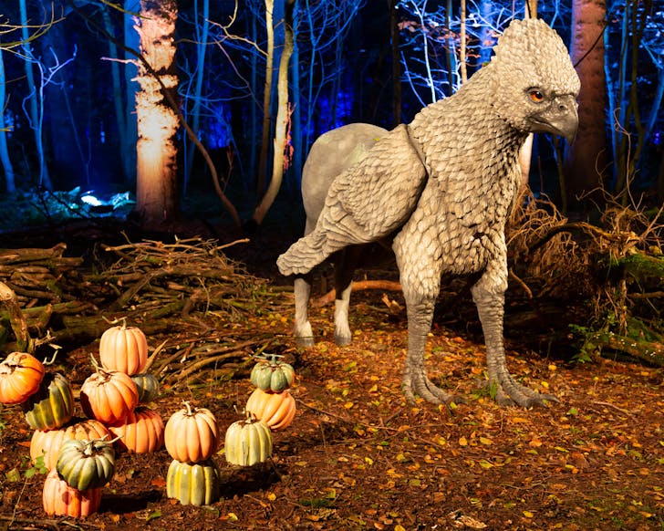 a model of a hippogriff from harry potter