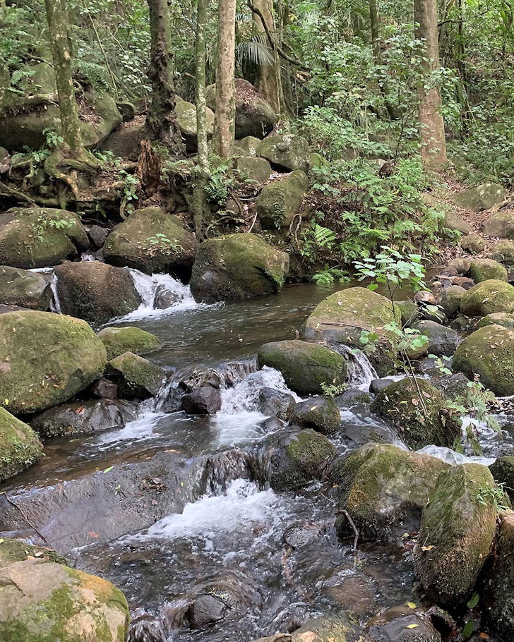 A cascading waterfall over rocks at Henry's Scenic reserve in Auckland.
