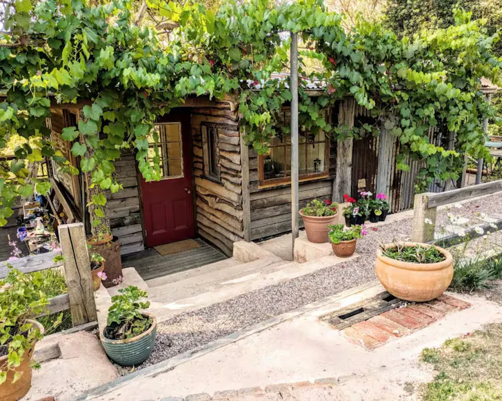 The vine-covered exterior of Hide tiny home, one of the best tiny houses in Adelaide and South Australia