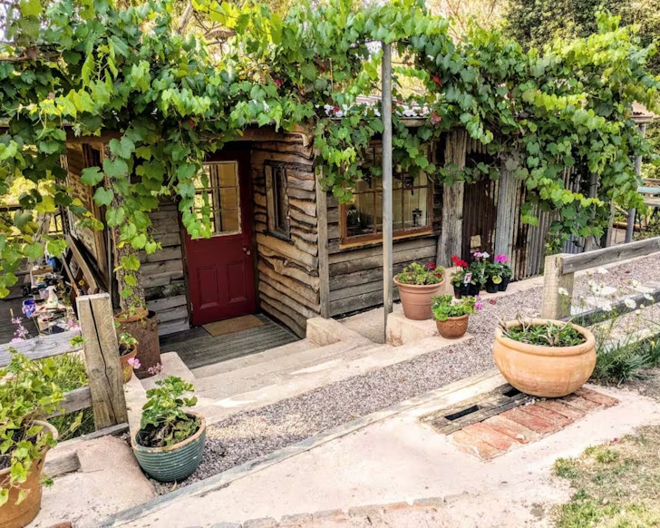 The vine-covered exterior of Hide tiny home, one of the best tiny houses in Adelaide and South Australia