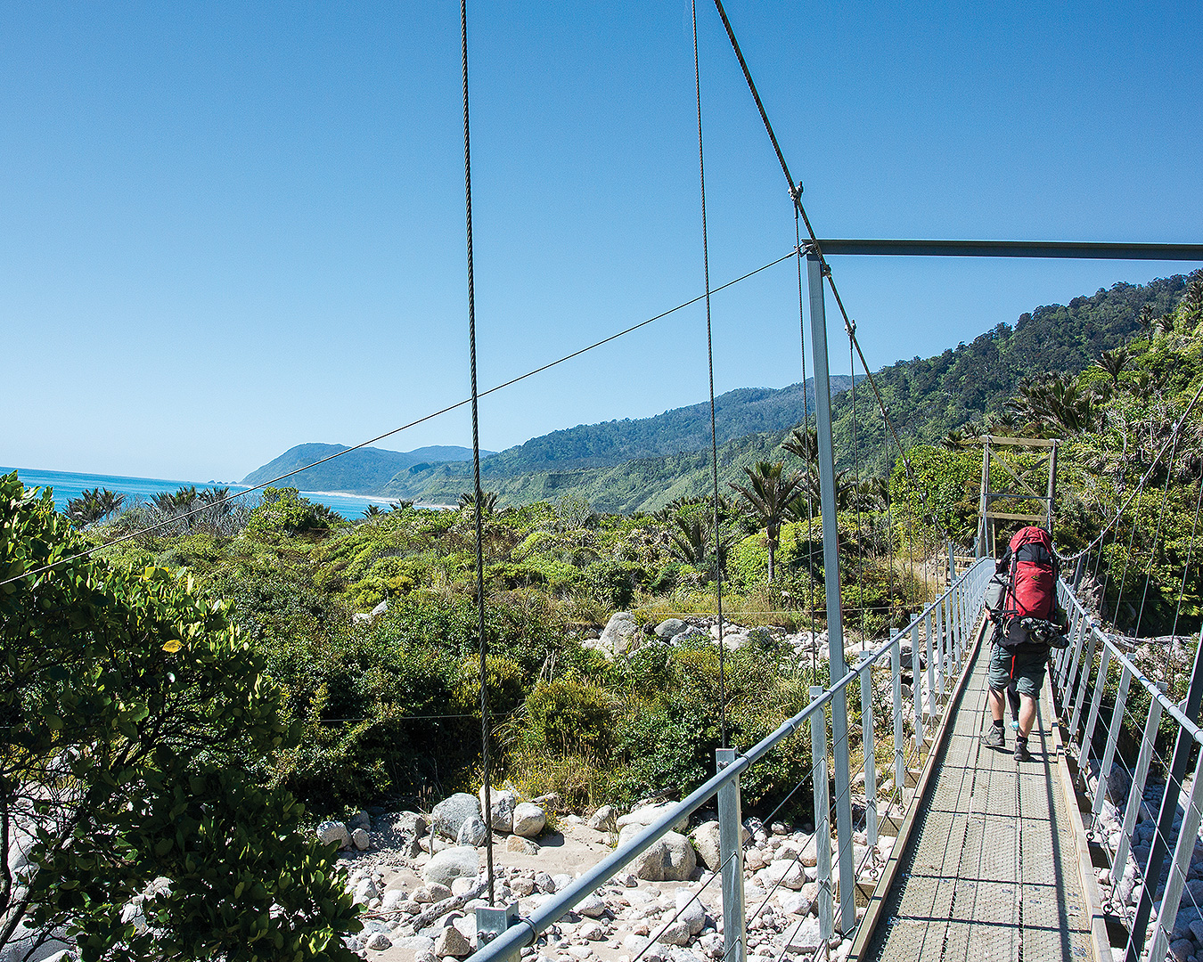 Someone bikes along the Heaphy Track.