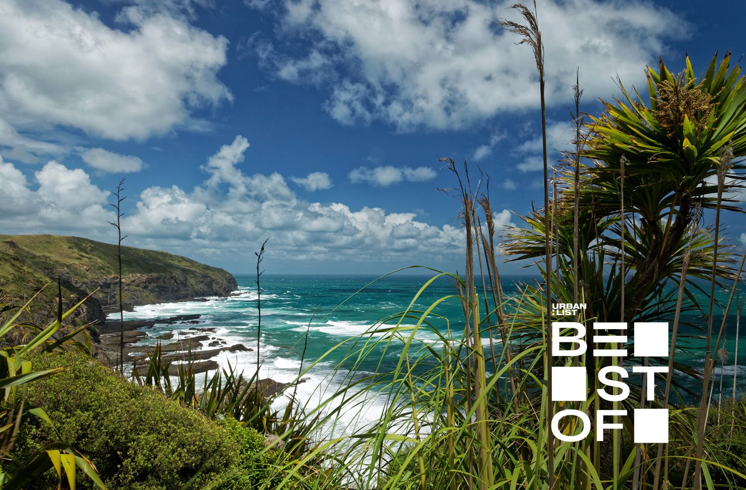 The Hillary Trail is one of Auckland's best walks. 
