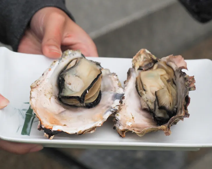 A man holding a plate of two large, juicy oysters in shells. 