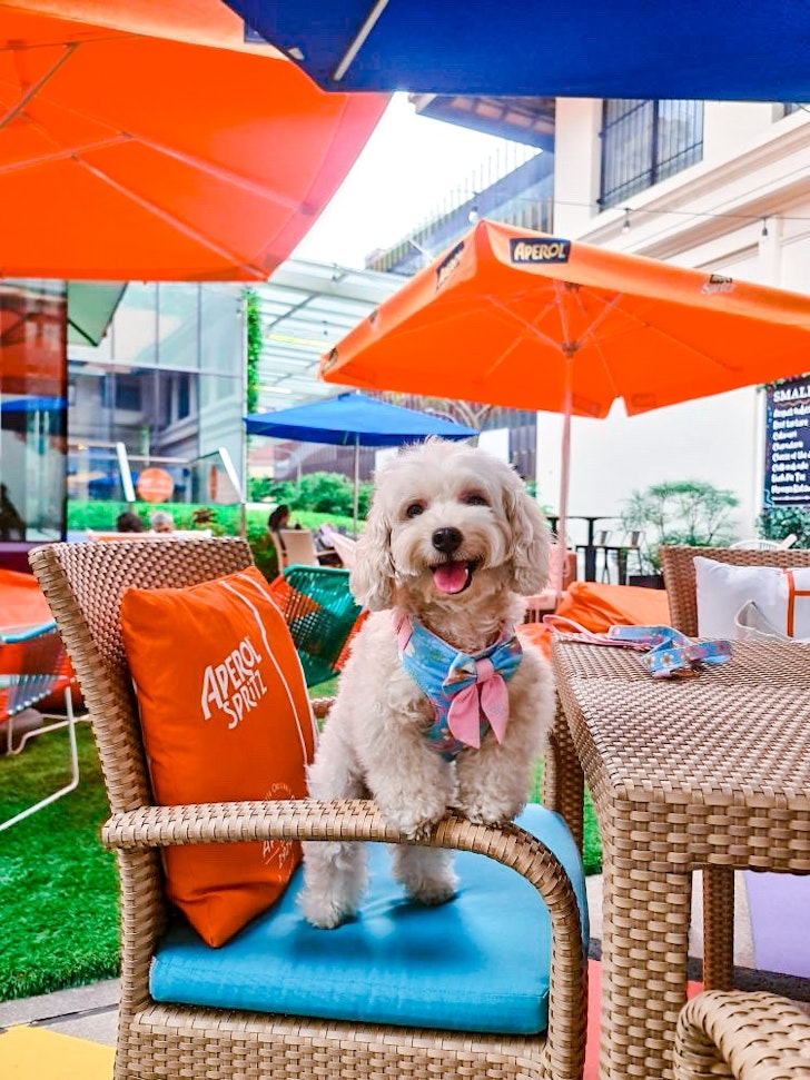 Hotel Indigo Singapore Katong
