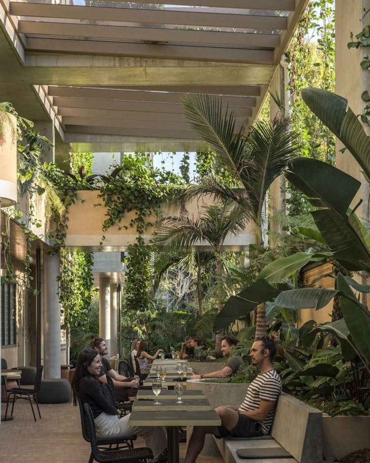 A view of the restaurant with lots of greenery at Hotel Marvell one of the best hotels in Australia