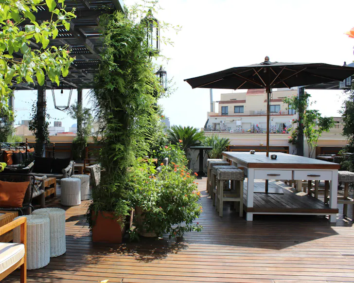 The sunlit, leafy rooftop terrace at Hotel Pulitzer in Barcelona. 
