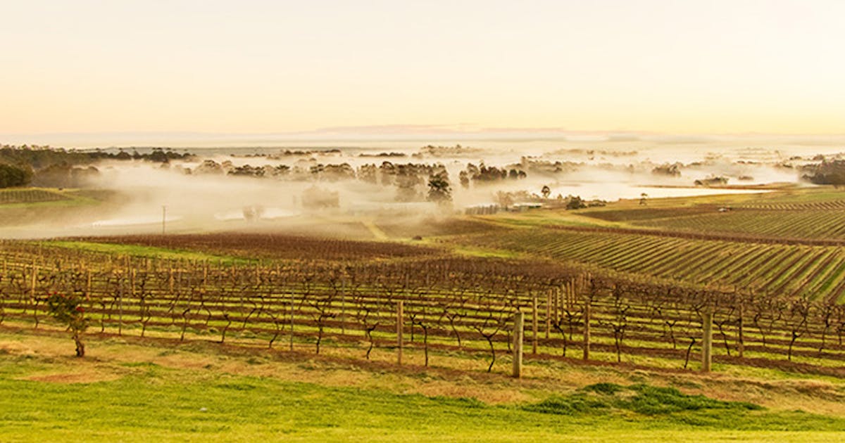 The Urban List S Weekend Guide To The Hunter Valley Urban List