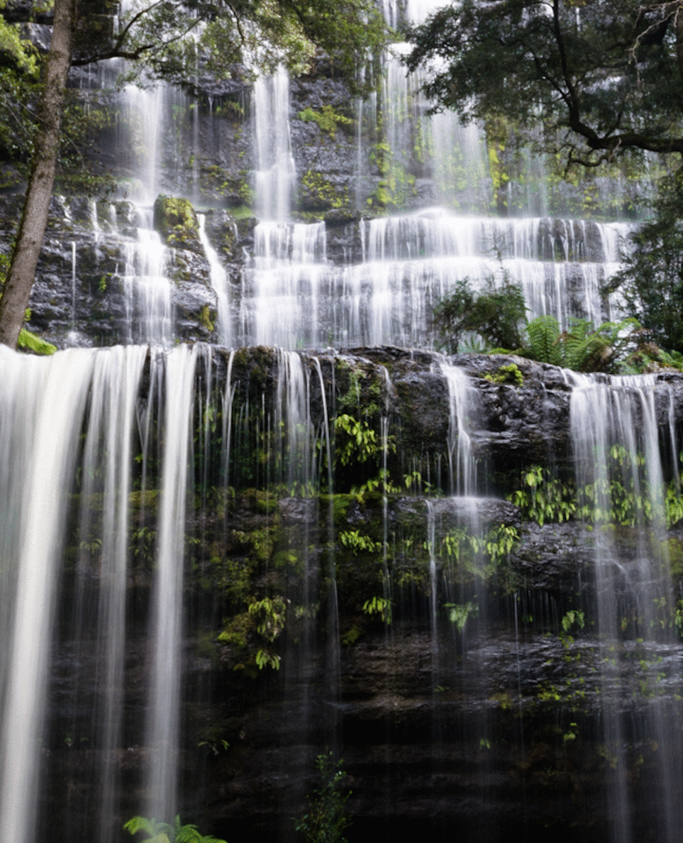 A cascading waterfall in Tasmania. 
