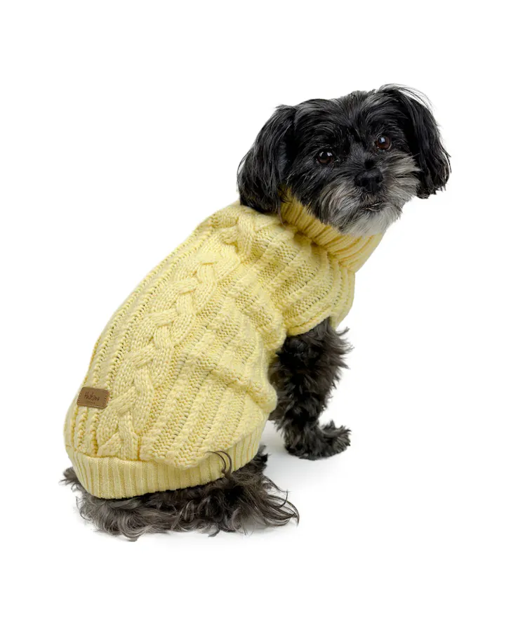 Dog wearing Huskimo Cali Knit Jumper In Buttercup