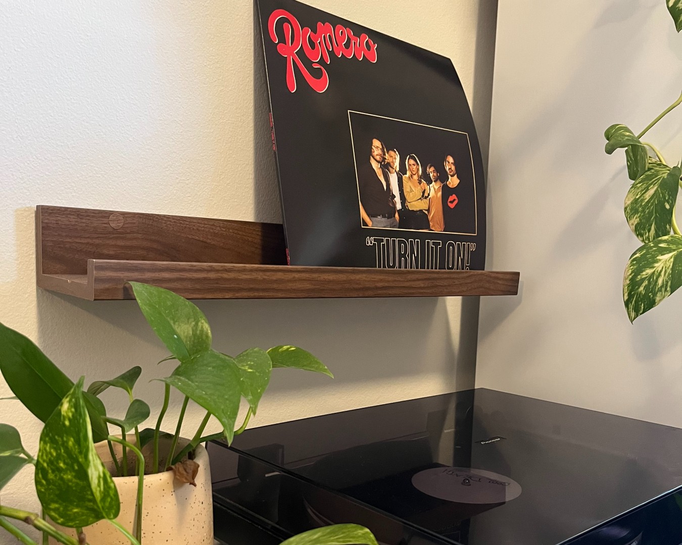 Record on IKEA picture ledge in lounge room.