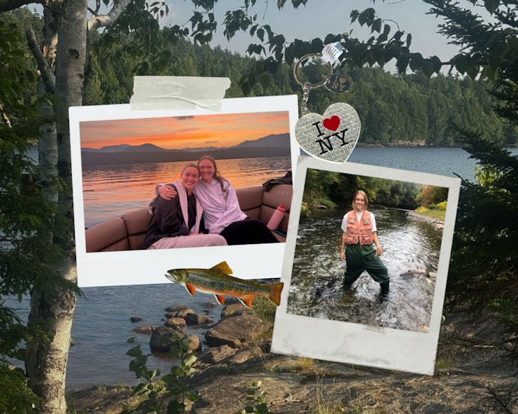 COLLAGE OF FISHING