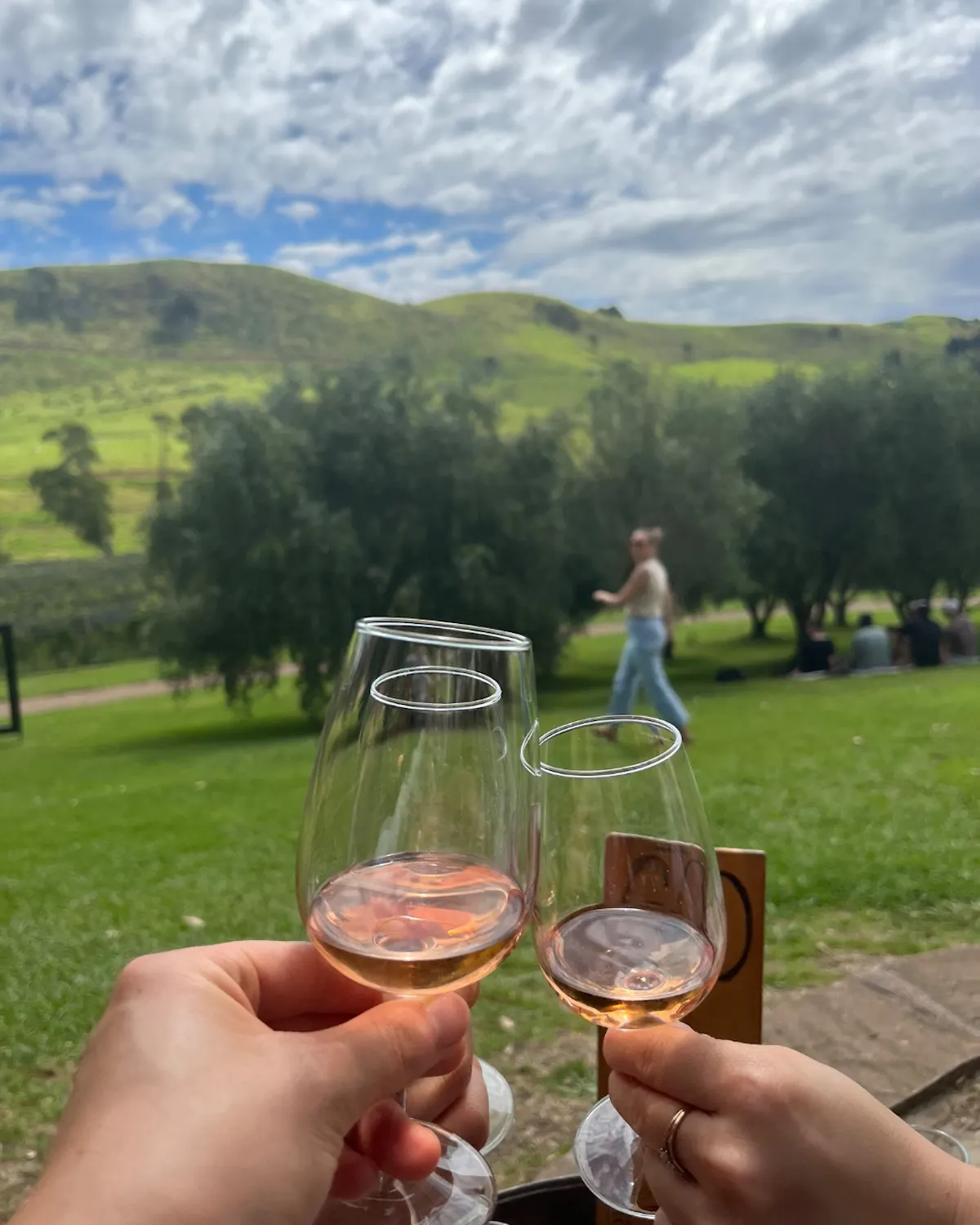 Stonyridge Vineyard cellar door tasting showing the Fallen Angel Rosé made with Central Otago pinot noir grapes in a picturesque olive grove and lavender valley setting on Waiheke Island