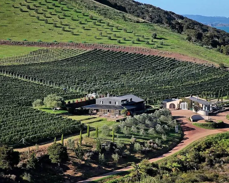 Poderi Crisci