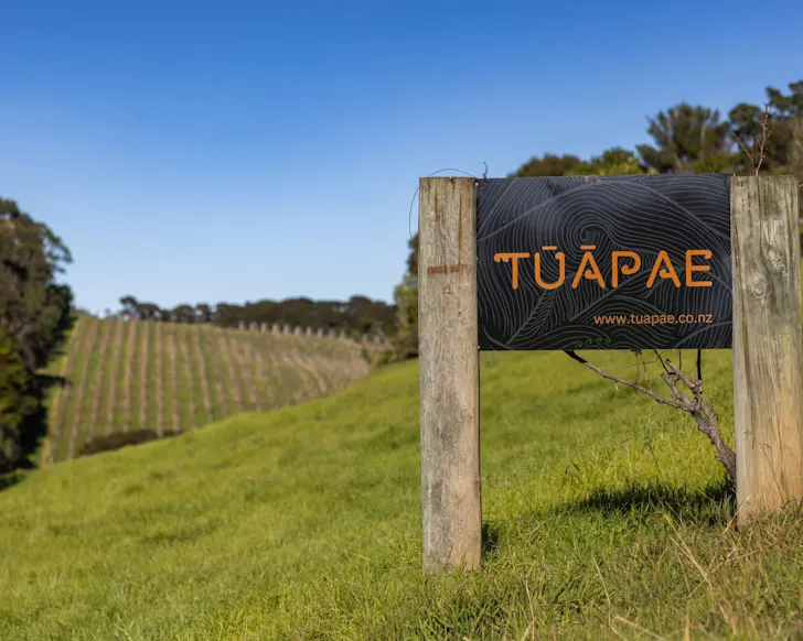 TÅ«Äpae