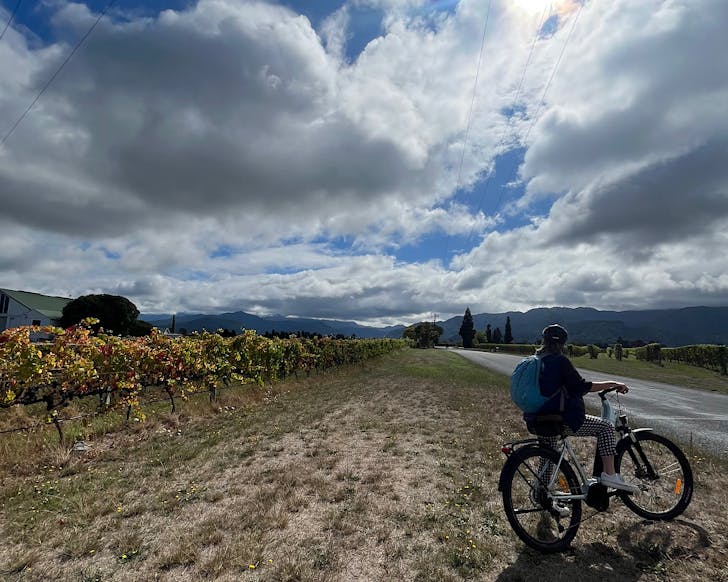 Explore Marlborough Bike Tours in Blenheim