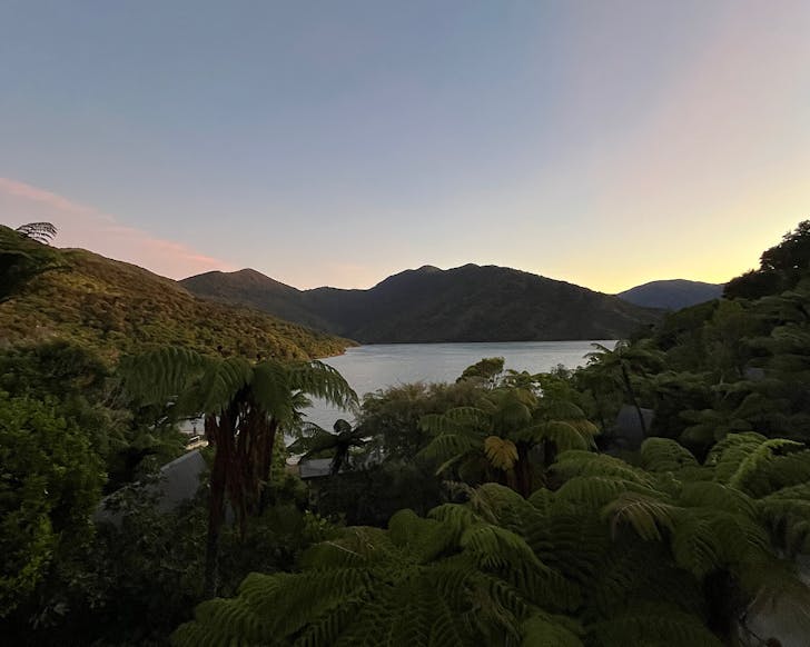 Sunrise at Punga Cove Resort