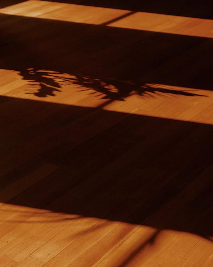 A warm KenkÅ studio with wooden floors and shadows of indoor plants against natural light.