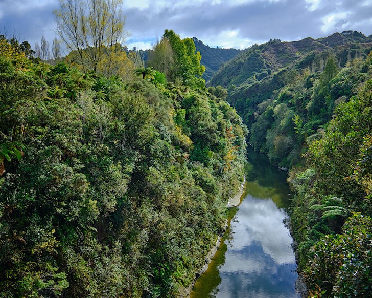 View of the river from Blue Duck Station