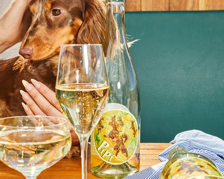 Pipi the sausage dog from Swift Wines with the latest sparkling AlbariÃ±o release 