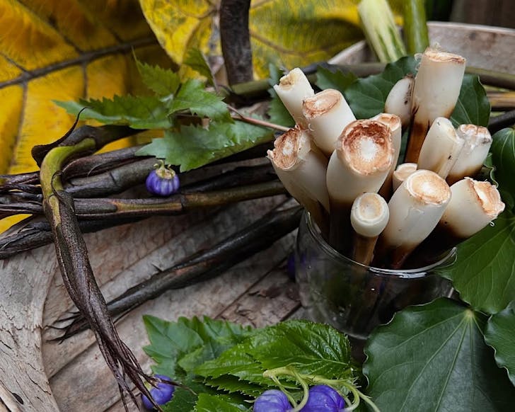 Native ingredients for MÄhaâs event at Savour Northland