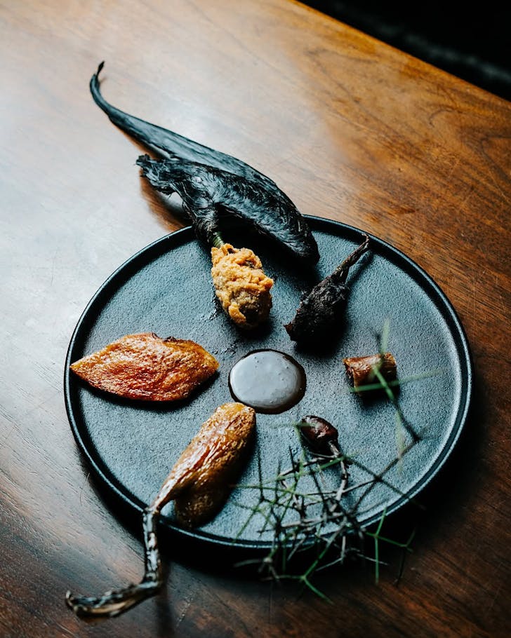 Amisfield extraordinary dishes like this dish exploring tÄ«tÄ« (muttonbird)