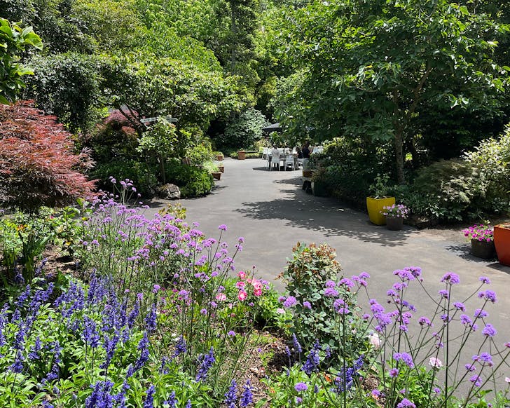 Eden Garden in Aucklnad 