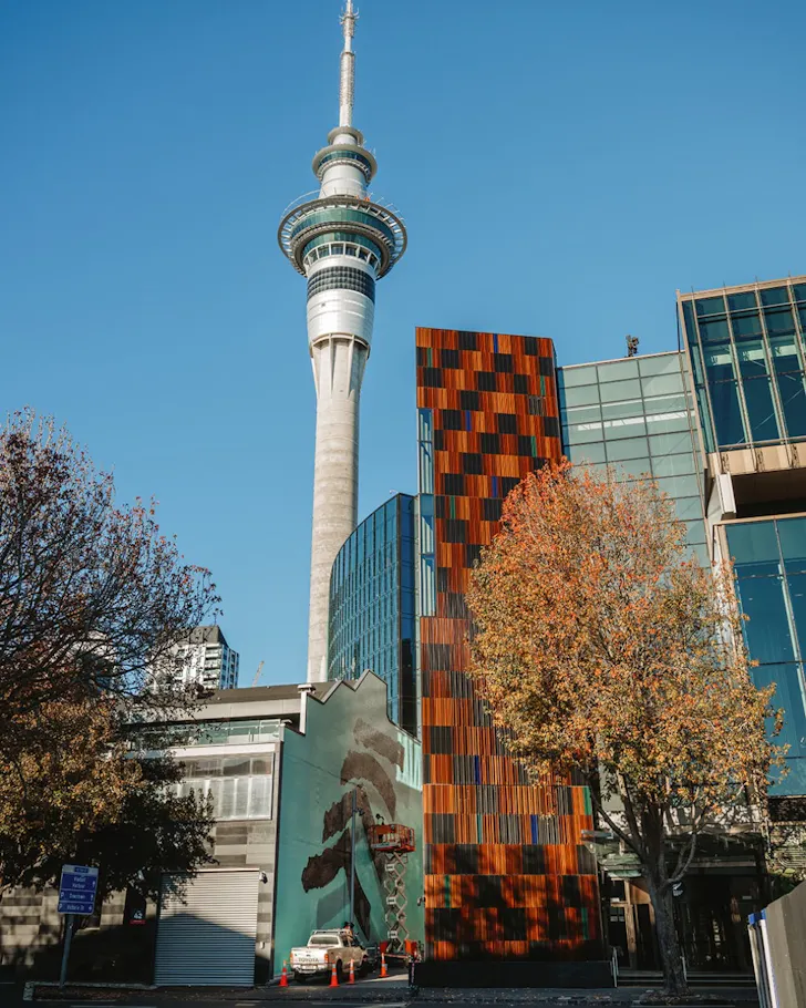 NZICC