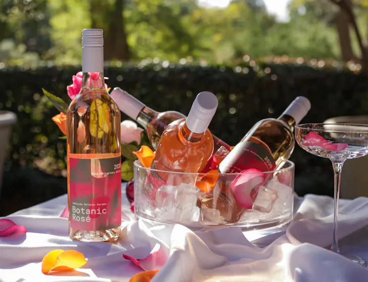 Meet the Maker: Botanic RosÃ© National Wine Centre